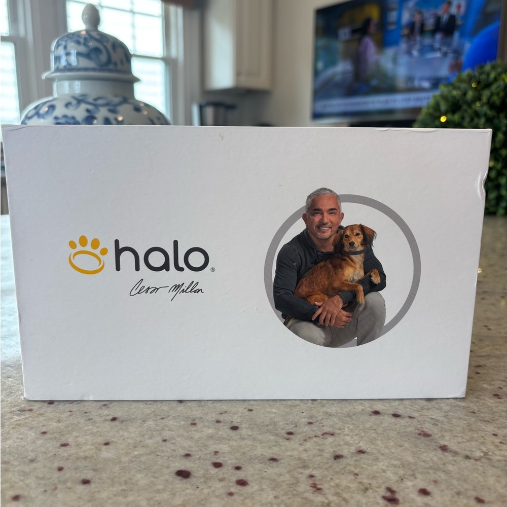Halo dog collar